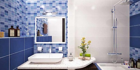 l'idea di un bellissimo stile dell'immagine del bagno