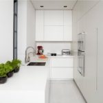 Green plants in a white kitchen