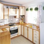 Green plants in the interior of the kitchen