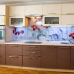 Linear kitchen with acrylic apron