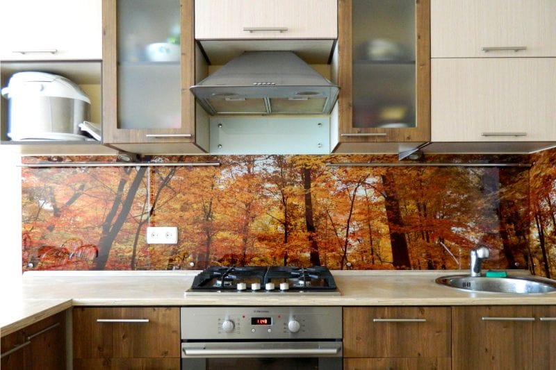 Forêt d'automne sur un tablier de cuisine en verre