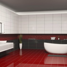 Bagno bianco sul pavimento rosso