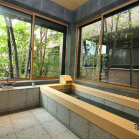 Salle de bain avec fenêtres panoramiques