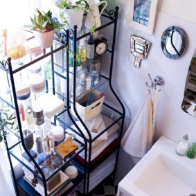 Indoor flowers on shelves in the bathroom