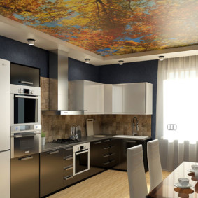 Design della cucina con murales sul soffitto