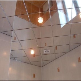 Mirror tiles in the interior of the toilet