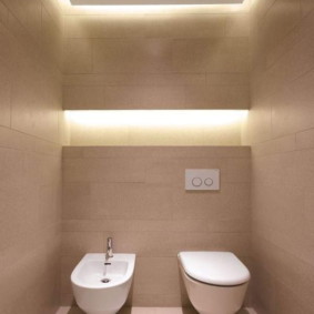 Minimalist toilet design