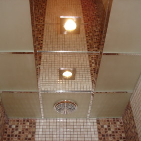 Mirror panels on the ceiling of the toilet room