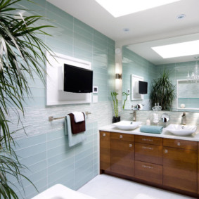 Dracaena all'interno del bagno