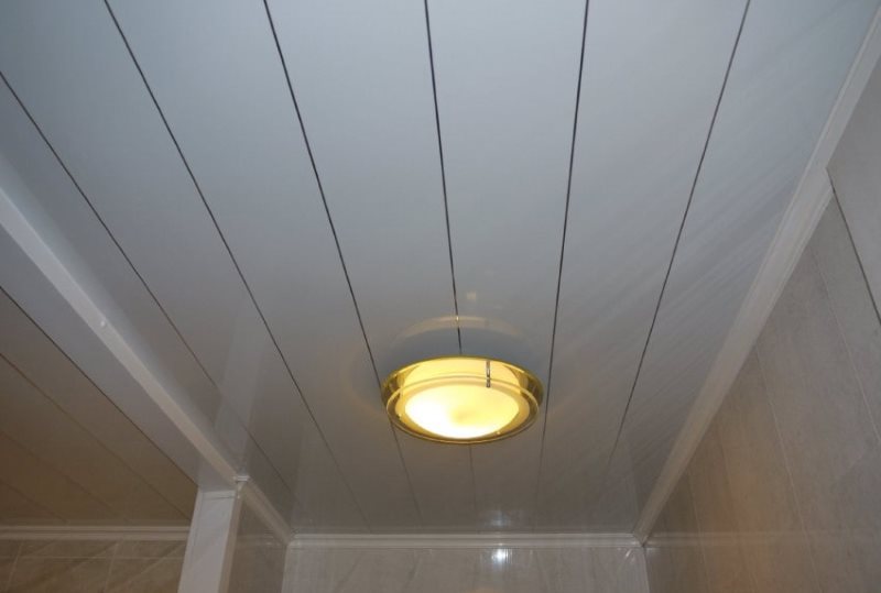 Ceiling lamp on plastic panels