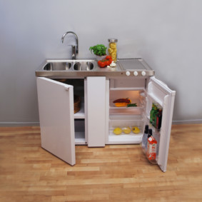 Kitchenette avec évier et réfrigérateur