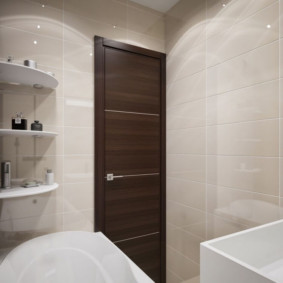 Dark brown door in a compact bathroom