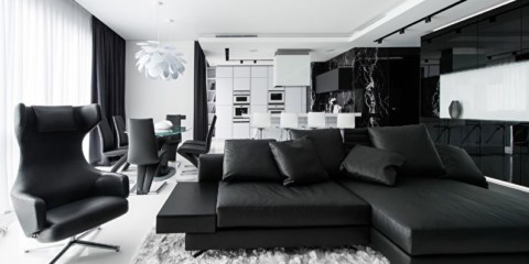 idées d'intérieur appartement noir et blanc