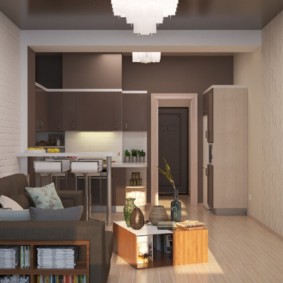 studio apartment 23 sq. meters design ideas