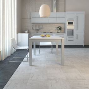 floor tiles for kitchen and corridor design ideas