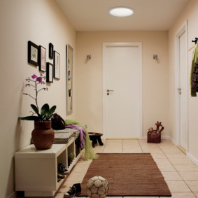 ceiling chandelier in the hallway photo