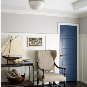 Blue swing type door