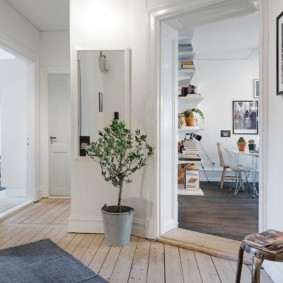 Indoor plants in the interior of the hallway