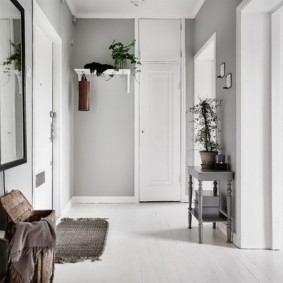 Light gray walls of the hallway in the apartment