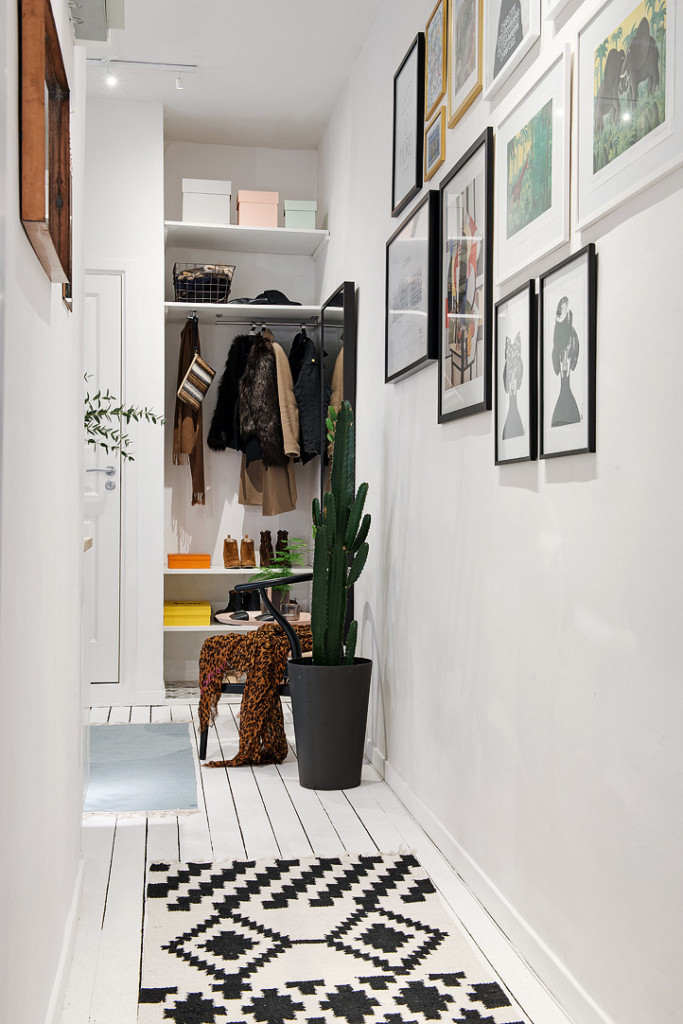 Cactus in a floor pot in a narrow corridor