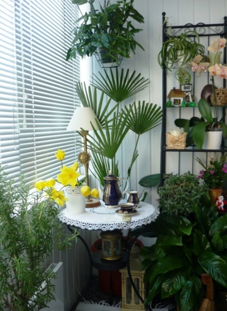 Jardin d'hiver sur le balcon de la cuisine dans l'appartement de la maison à panneaux