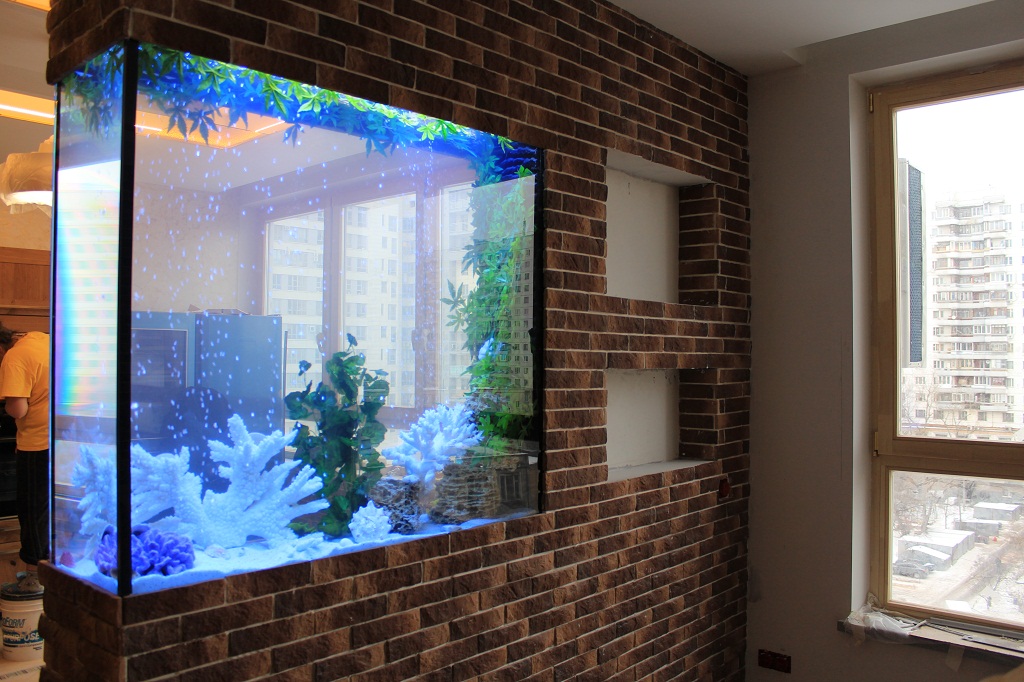 aquarium dans le mur