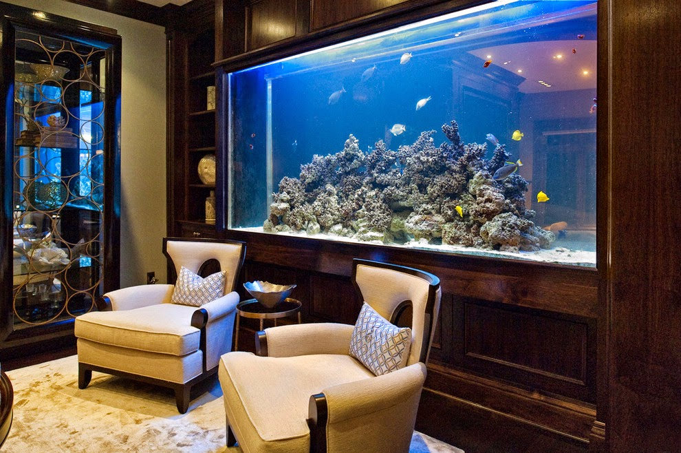 aquarium moderne