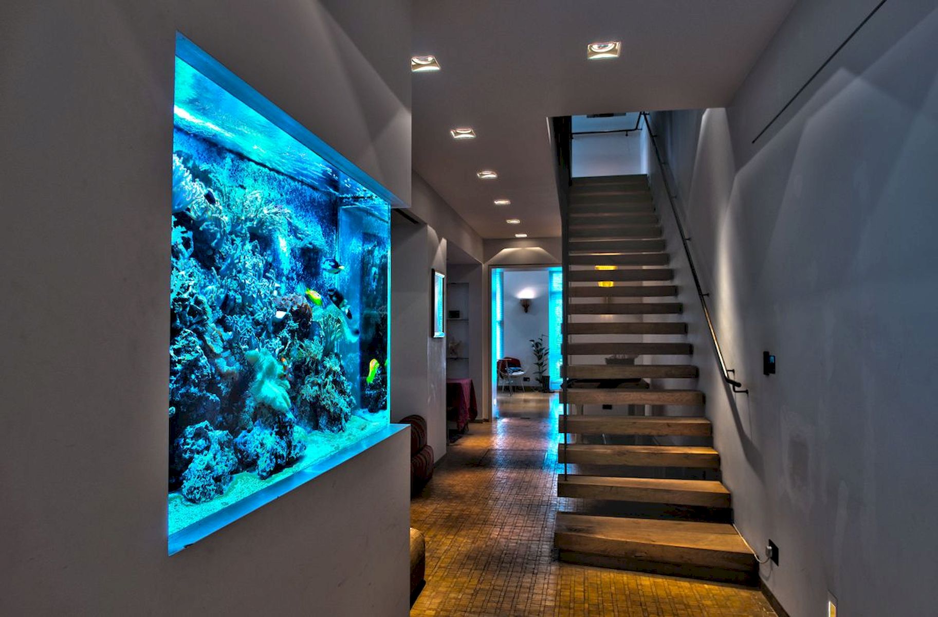 aquarium dans une maison privée