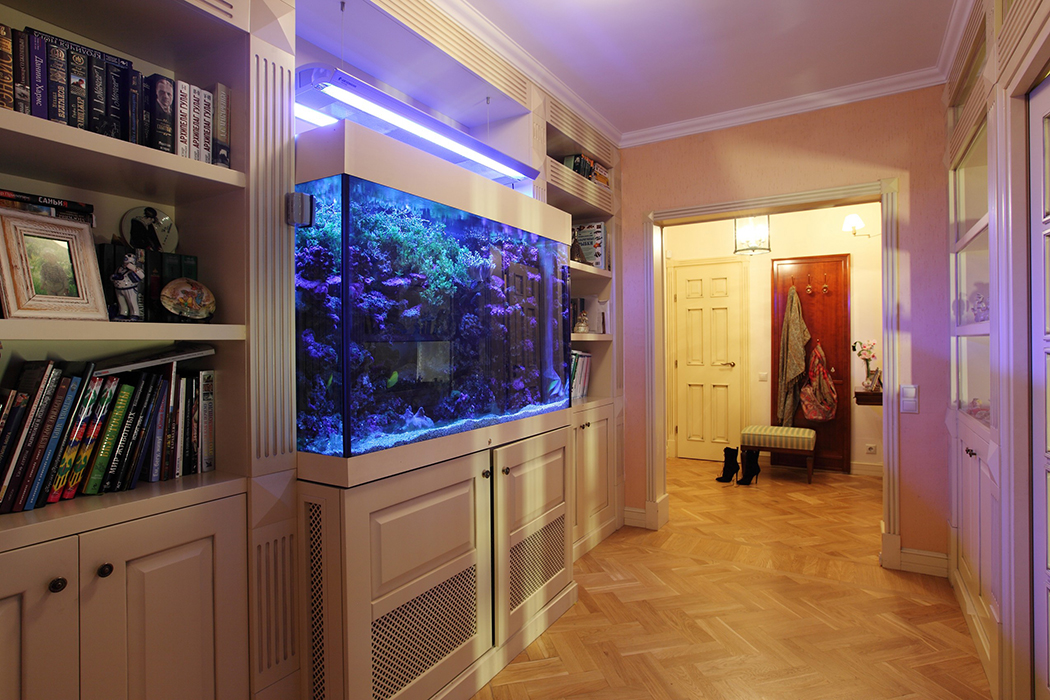 aquarium dans le couloir