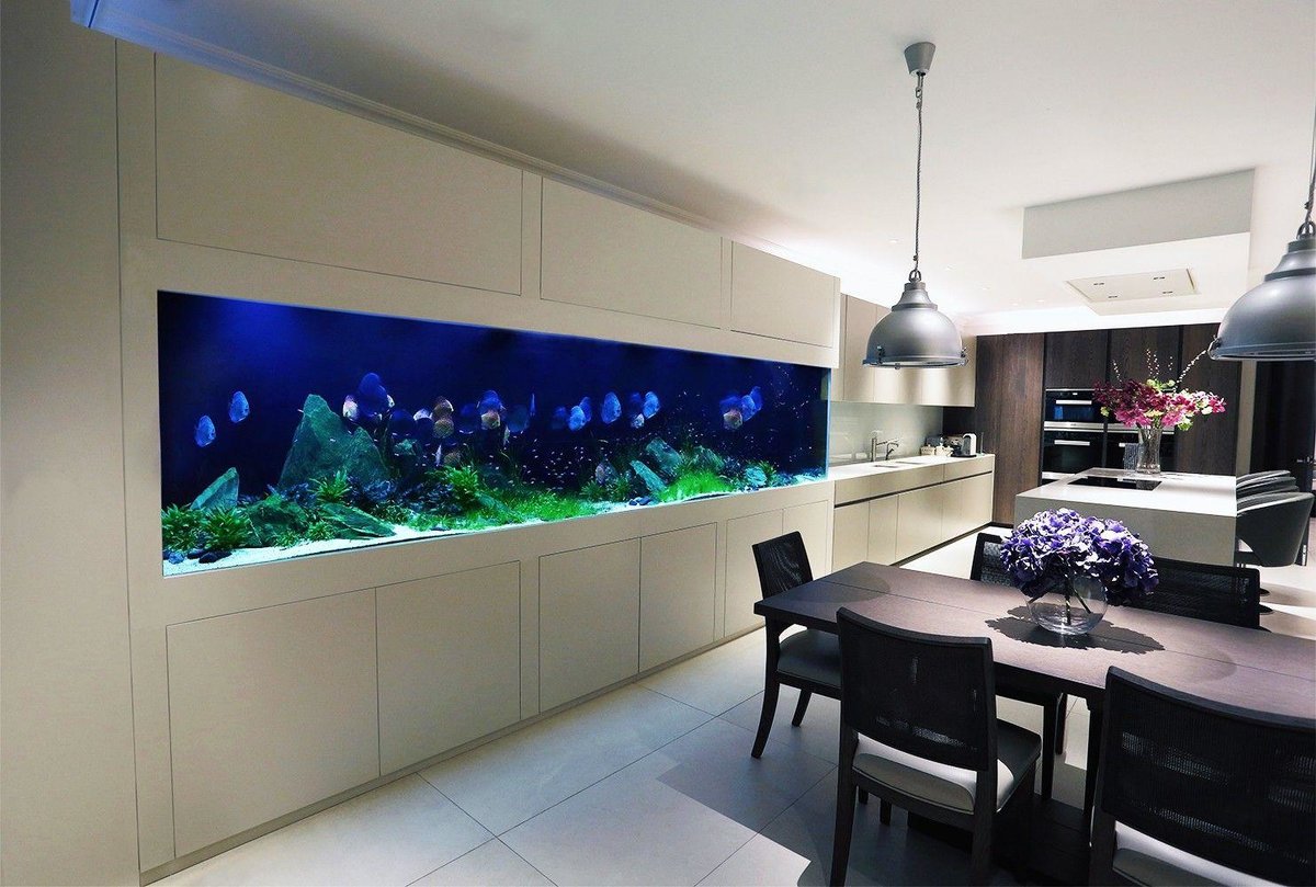 aquarium à l'intérieur de la cuisine