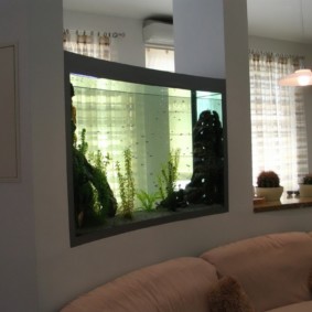 aquarium dans des idées de design d'appartement