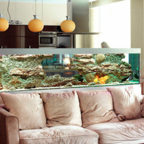 aquarium dans les idées de conception d'appartement