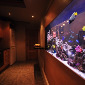 aquarium dans les idées de décoration de l'appartement