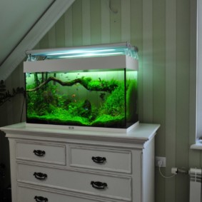 aquarium dans les idées de décoration de l'appartement