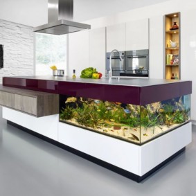 aquarium dans les idées de décoration de l'appartement