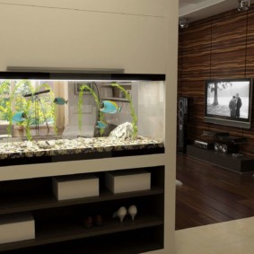 aquarium à l'intérieur de l'appartement