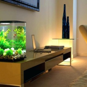 acquario in idee interne appartamento