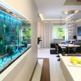 aquarium dans les idées d'intérieur de l'appartement