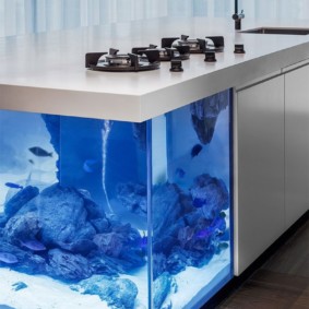 aquarium dans les idées de conception d'appartement