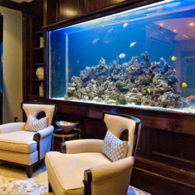 aquarium dans les options de l'appartement