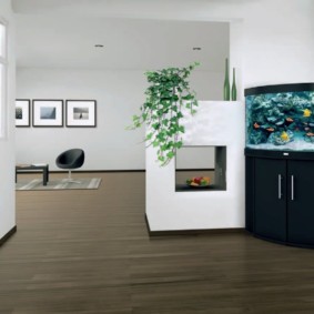 aquarium dans l'appartement