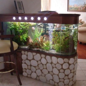 aquarium dans l'appartement photo espèces