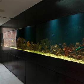 aquarium dans l'appartement