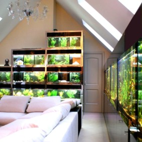 aquarium dans des idées de design d'appartement