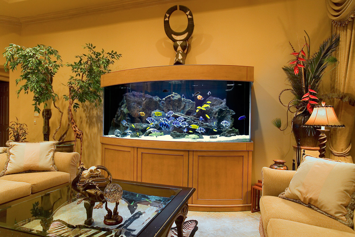 aquarium dans l'appartement