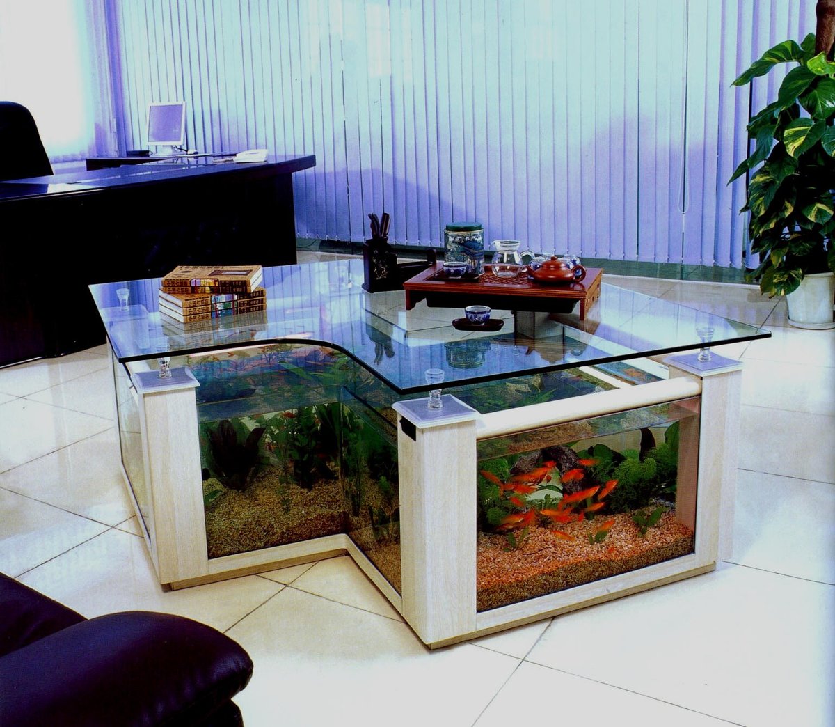 aquarium dans la table