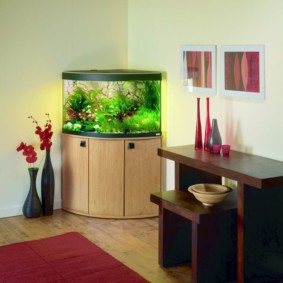 aquarium dans le coin du salon