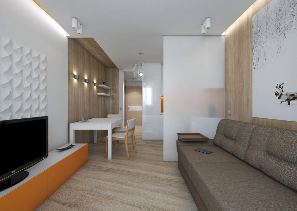 minimalist studio apartment 28 sq m