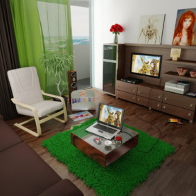 salon en photo intérieur vert