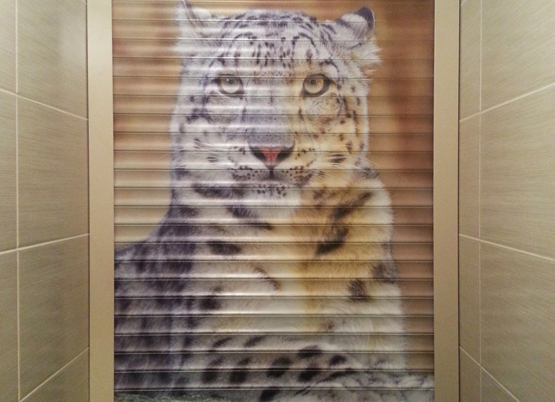 Image d'un tigre sur les volets roulants dans les toilettes